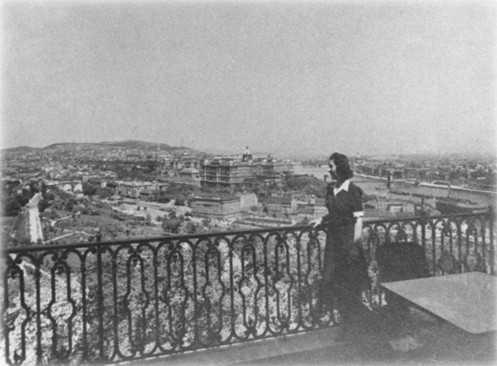 Jenő Vida’s house (original condition), 2.